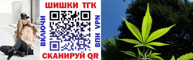МЕФ Киселёвск