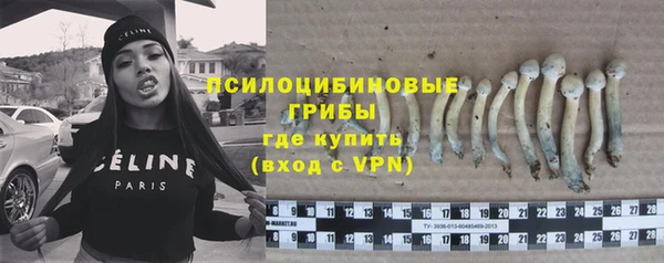 ГАЛЛЮЦИНОГЕННЫЕ ГРИБЫ Алзамай