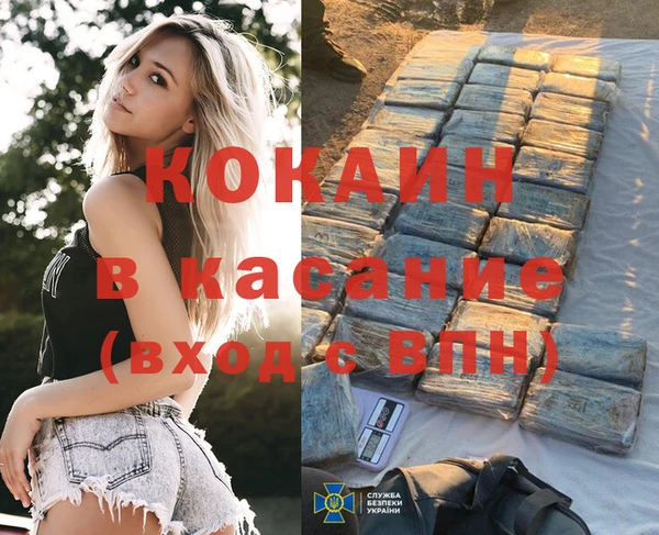 ГАЛЛЮЦИНОГЕННЫЕ ГРИБЫ Алзамай