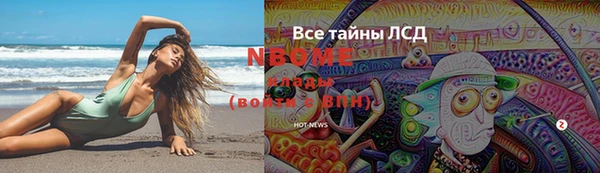 ГАЛЛЮЦИНОГЕННЫЕ ГРИБЫ Алзамай