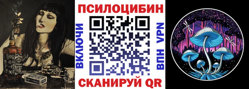 Галлюциногенные грибы MAGIC MUSHROOMS  darknet телеграм  Киселёвск  что такое наркотик 